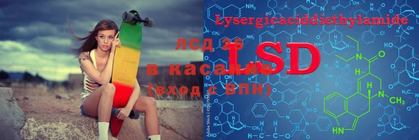 стафф Арсеньев