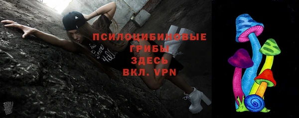 стафф Арсеньев