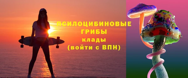 ПСИЛОЦИБИНОВЫЕ ГРИБЫ Аркадак