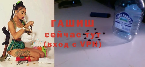 стафф Арсеньев