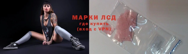 СК Армянск
