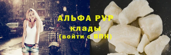 стафф Арсеньев