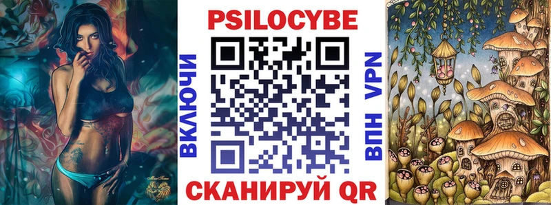 закладка  Сафоново  Галлюциногенные грибы Psilocybe 